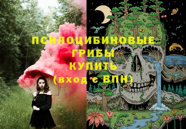 круглые Алзамай