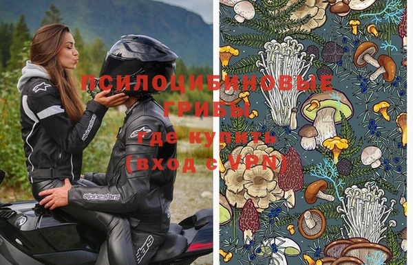 прущие грибы Абдулино