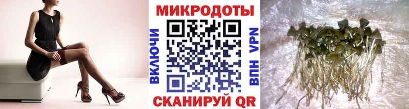 магазин  наркотиков  Рязань  Псилоцибиновые грибы ЛСД 