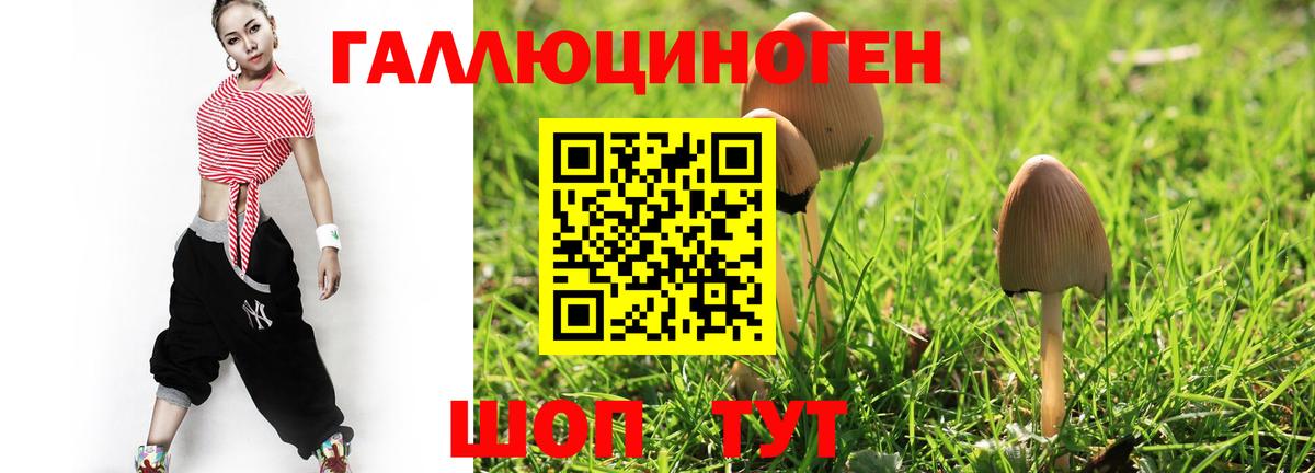 Галлюциногенные грибы Magic Shrooms  Галлюциногенные грибы GOLDEN TEACHER  Рязань  Вход с VPN 