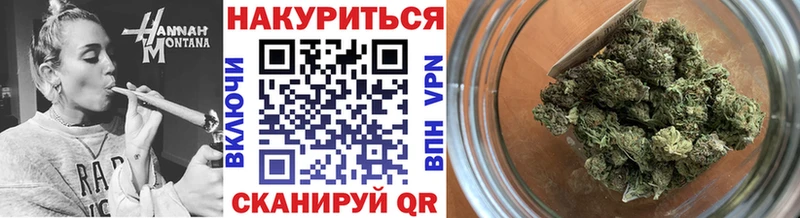 наркота  Рязань  Каннабис сатива 