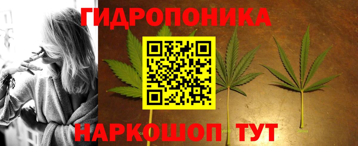 Шишки марихуана тримм  Шишки марихуана план  Вход с VPN  Рязань 